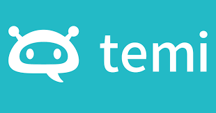Screenshot of temi