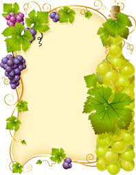 Parchment Et Labels Page 17 Flower Frame Grapes Vine Drawing