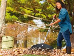 Check spelling or type a new query. The Best Rake In 2020