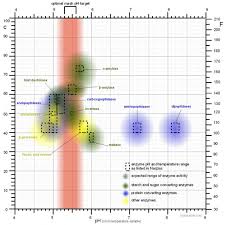 Can Anyone Help Me Understand The Connection Between Mash Ph