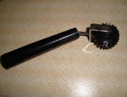 CÂY LĂN SỪNG ĐƠN LỚN