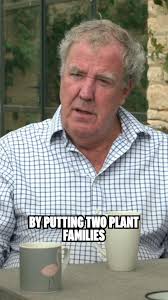 Planting Wheat and other Species Together for Regenerative Farming