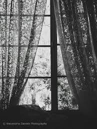 Black White And Blue Curtains Journey Of An Indieartist May 2010 Lace Curtains Black Sheer Curtains Curtains