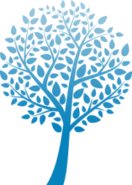 Le centre dentaire à paris 20, effectue classiquement tous les actes qui entrent dans le cadre de l'exercice Clinique Urgence Dentaire Paris 14 Pernety 75014