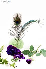 Peacock weddingh wedding flower bouquet, bridal bouquet, wedding flowers, add pic source on comment and we will update it. How To Make A Pretty Peacock And Purple Bridal Bouquet