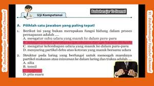 Soal uas / ukk ipa kelas 2 sd semester 2 dan kunci jawaban 10 april 2017 11 juni 2020 bimbingan belajar brilian 0 komentar a. Jawaban Pg Uji Kompetensi Bab 8 Ipa Kelas 8 Smp Halaman 76 Sistem Pernafasan Manusia Youtube