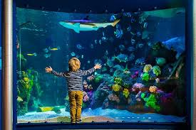 Die 6 Schonsten Museen Fur Kinder Munchen Online