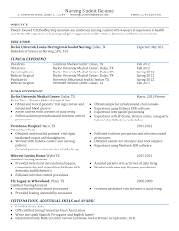 Nursing Curriculum Vitae Templates At Allbusinesstemplates Com