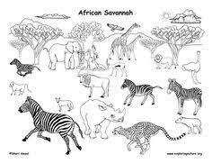 Draw An African Grassland African Animals Animal Coloring Pages African Lion
