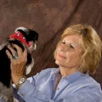 50+ "Patricia Rushing" profiles