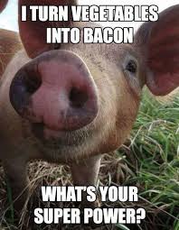 Pig Meme Bacon Super Pig Memes Funny Pigs Farm Humor