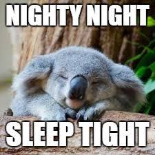 Sleepy Koala Meme Generator Imgflip Cute Animals Cute Baby Animals Koala