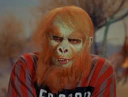 The captain is a little TOO drunk.