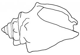 Free Printable Seashell Coloring Pages For Kids Coloring Pages Free Coloring Pages Coloring Pages For Kids