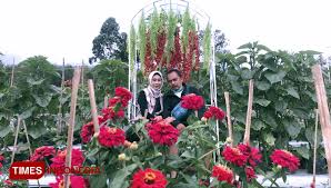 Kebun bunga adalah salah satu kelurahan di kecamatan banjarmasin timur, kota banjarmasin, provinsi kalimantan selatan, indonesia. Indahnya Taman Bunga Di Kaki Gunung Ciremai Majalengka Berserikat Com Kumpulan Berita Buruh Dan Serikat Pekerja