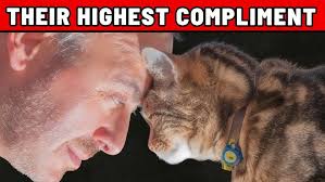 An Interview with Local Author Nichole Webster