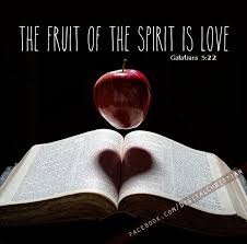 Galatians 5 22 Https Www Facebook Com Photo Php Fbid 598854113526190 Fruit Of The Spirit Spirit Of Truth God The Father