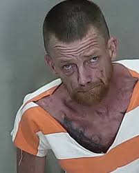 37-year-old KATHY BRINSON from OCALA was booked