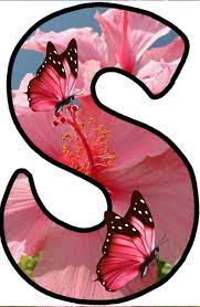Pin By Shawna Fox On Say My Name Dove Images Love Wallpapers Romantic Butterfly Pictures