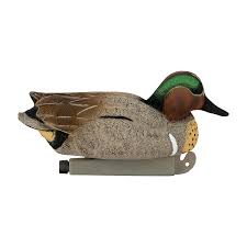 Keep up to date with our latest news, pics and videos by following us on facebook at facebook.com/shetlandwildlife or on twitter at twitter.com/shetlandwild. Flight Green Wing Teal Tanglefree Shop
