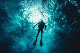 Image result for Inner Ear Decompression Sickness