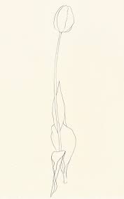 Une Collecte Ellsworth Kelly Plant Drawings Ellsworth Kelly Plant Drawing Flower Drawing Tumblr
