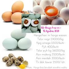 Abang teloq grade a telur harga. Agen Telur Via Posts Facebook