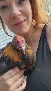 Any idea what kind of rooster this is? Thought he was a copper maran.