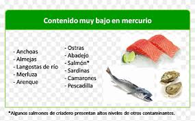 Durante El Embarazo Que Tipo De Pescado Se Puede Se Puede Comer En La Lactancia Hd Png Download 978x578 4602986 Pinpng