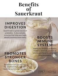 The Health Benefits Of Sauerkraut Mirror Friendly