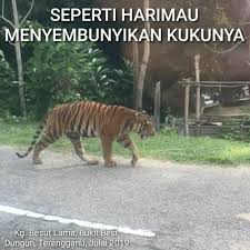 29 pilih peribahasa yang sesuai bagi menggambarkan situasi dalam gambar di atas. Gombak Didik Videos Facebook