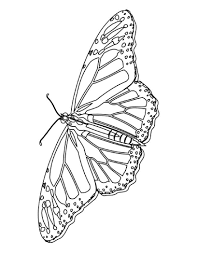Pin On Butterfly Coloring Page