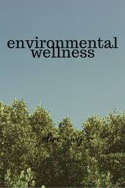 Environmental Wellness True Wellness Environment Wellness