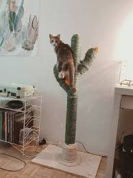 Cactus For Cats Catcus Scratching Post Cat Tree Boho Etsy Cat Scratching Post Cat Tree Designs Scratching Post