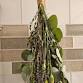 DIY Eucalyptus Shower Bundle - Drop In Day event in Crest Hill, IL