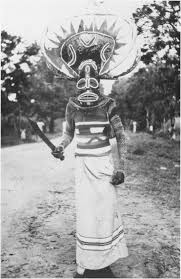 Image result for Dissotis ruandensis