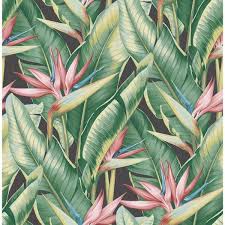 Bird Of Paradise Plant Home Depot Kenneth James Arcadia Pink Banana Leaf Paper Strippable Roll Wallpaper Covers 56 4 Sq Ft Ps40201 The Home Depot Banana Leaf Wallpaper Leaf Wallpaper Pink And Green Wallpaper