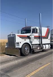 Image result for Blue Royal 1984 UMM