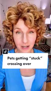 Share a ❤️ for your pet who is SAFELY