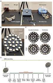 Mv coordinates ppe procurement and distribution for small businesses. Frontiers Grasping Of Real World Objects Is Not Biased By Ensemble Perception Psychology