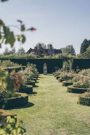 David Austin Roses Gardens David Austin Roses Garden Plants Uk David Austin Roses