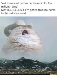 Old Town Road Comes On The Radio For The Millionth Time Me Yeeeeeeeah I M Gonna Take My Horse To The Old Town Road Ifunny Funny Relatable Memes Funny Memes