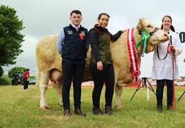 Clontead take the interbreed at Belgooly