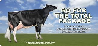 Crasdale Common Sense Go For The Total Package Dairy Cattle Investment Advice Holstein