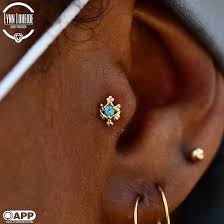 Image result for Tragus koelerioides
