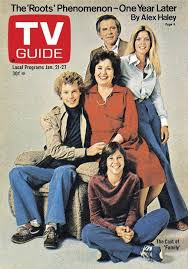Totally Hated This Show Especially The Mother And The Always Annoying Kristy Mcnichol Bc2ce781033b204ea0496d0b3d2097 Kristy Mcnichol Tv Guide Tv Show Family