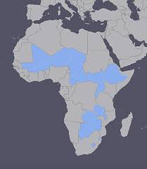 Algeria, angola, benin, botswana, burkina faso, burundi, cameroon, cape verde, central african republic, chad, comoros, democratic. How Many African Countries Are Landlocked