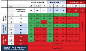 cavalier king charles weight chart goldenacresdogs com