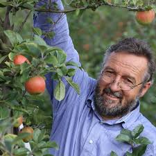 Neue Ernte am Obsthof Gebhardt