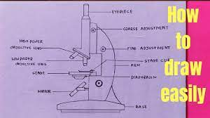 How To Draw Microscope Diagram For Beginners - Step By Step - Youtube